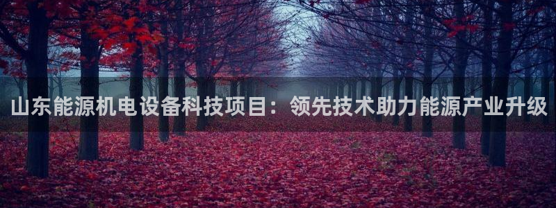 sunbet源码