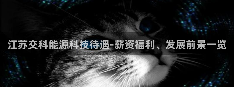 sunbet英语翻译