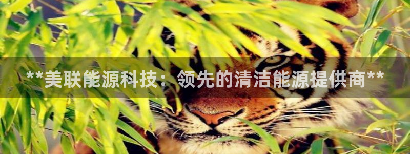 sunbet手机网页版