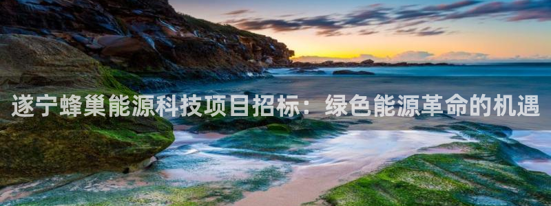 下载申搏sunbet并安装app