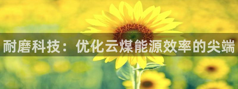 sunbet游戏地址