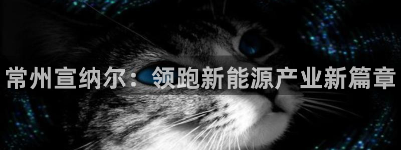 sunbething怎么读